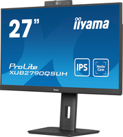 Iiyama 12