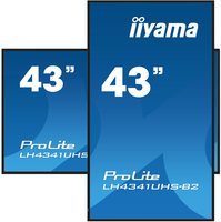 Iiyama 10