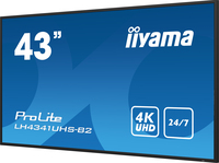 Iiyama 13