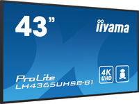 Iiyama 11