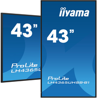 Iiyama 13