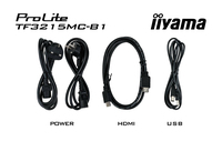 Iiyama 2