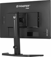 Iiyama 1