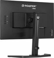 Iiyama 2