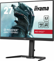 Iiyama Consignment 11