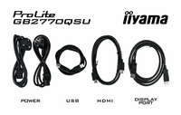 Iiyama 6