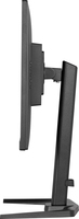Iiyama 12