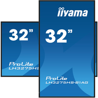 Iiyama 12