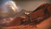 Destiny 79