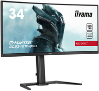 Iiyama 2