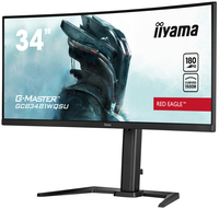 Iiyama 6