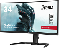 Iiyama 7