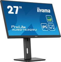 Iiyama 4