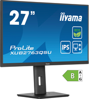 Iiyama 10