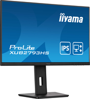 Iiyama 6