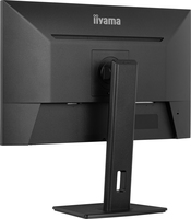 Iiyama 2
