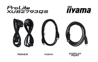 Iiyama 4