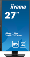 Iiyama 4