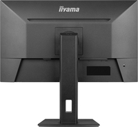Iiyama 11
