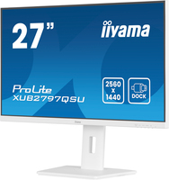 Iiyama Consignment 10