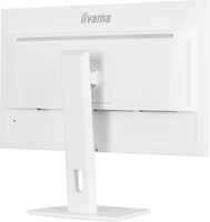 Iiyama Consignment 2