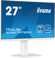 Iiyama Consignment 5