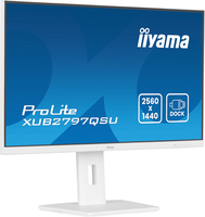 Iiyama Consignment 6