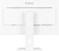 Iiyama Consignment 11