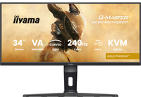 Iiyama 11