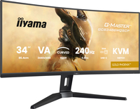 Iiyama 16