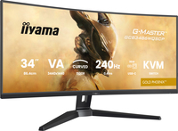 Iiyama 17