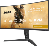 Iiyama 18