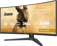 Iiyama 20