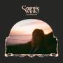 Cosmic Wink 1