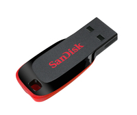 Sandisk 10
