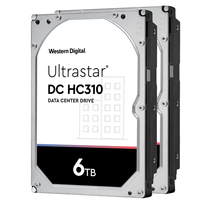 Western Digital 1