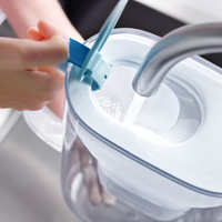 Brita 8