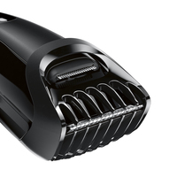 Braun 10