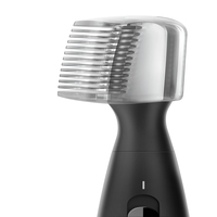 Braun 10