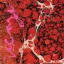 Beyondless 1