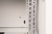 Digitus 6