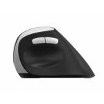 Rapoo - EV250 Maus rechts RF Wireless Optisch 1600 DPI (00215045)