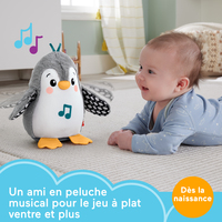 Fisher-price 12