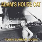Adams House Cat - Town Burned Down