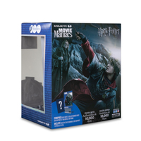 Movie Maniacs 7in Posed - Wb100 Wv1 - Harry Potter 2
