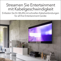 Netgear 4