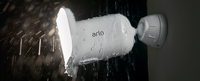 Arlo 3