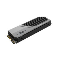 Silicon Power 2
