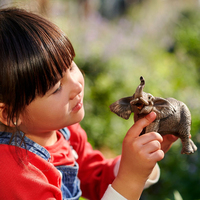 Schleich 2