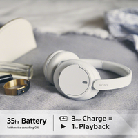 Sony 11